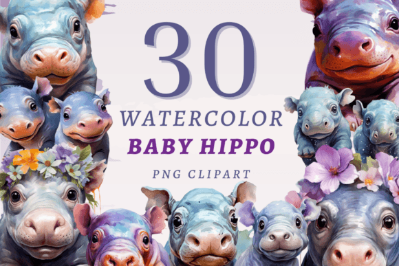 Download Baby Hippo PNG Bundle - Png Collection