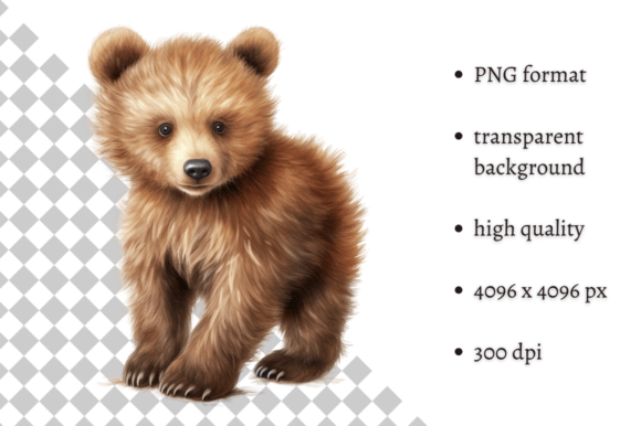 Download Watercolor Baby Bear PNG Clipart - Png Collection