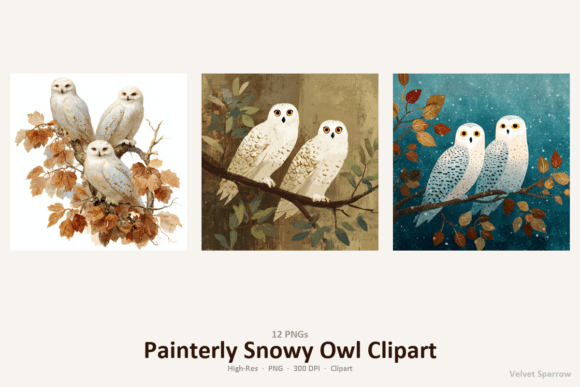 Download Painterly Snowy Owl Clipart - Painterly Collection
